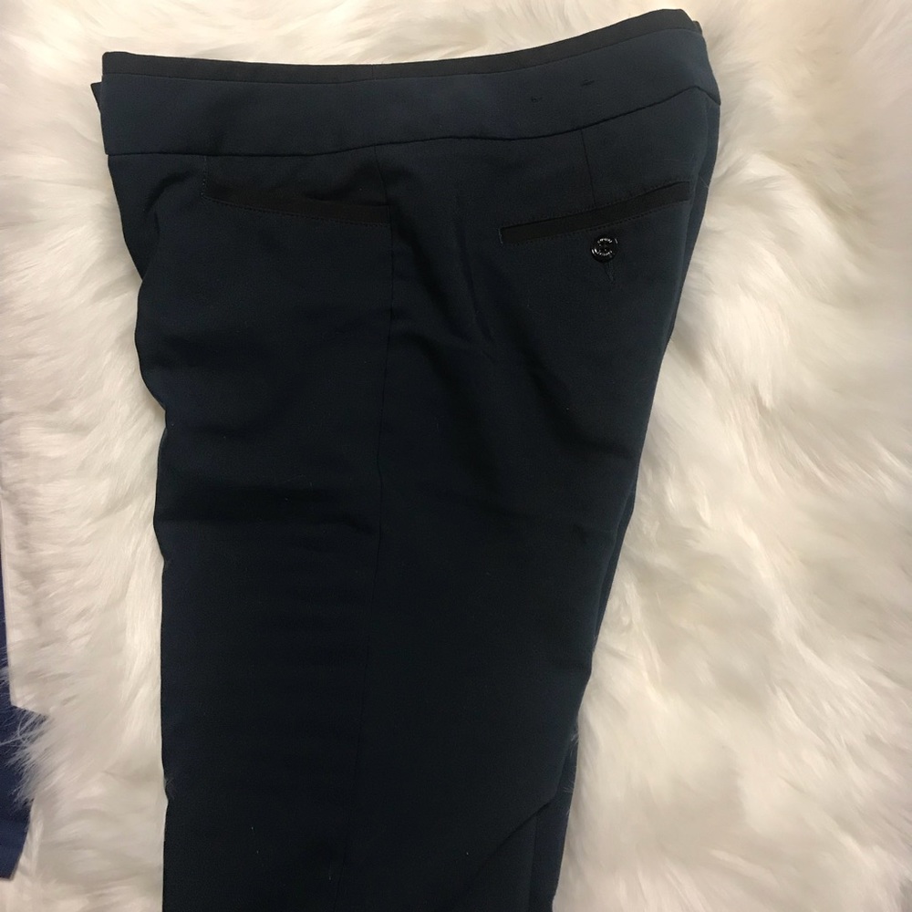 Express columnist dress pant